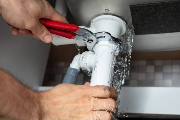 Best Professional water damage repair  in Mchenry, IL