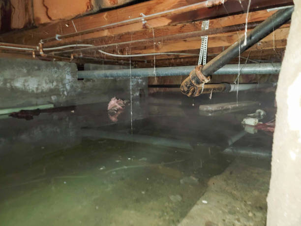 Best Professional water damage repair  in Mchenry, IL