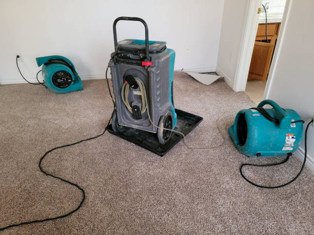 Best Sewage cleanup and water damage restoration  in Mchenry, IL