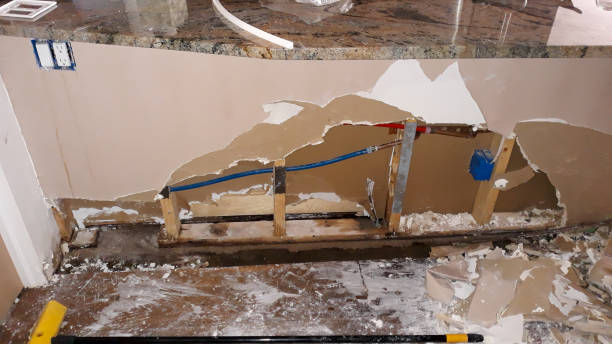Best Water damage restoration services  in Mchenry, IL