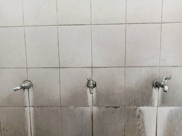 Best Commercial water damage restoration  in Mchenry, IL
