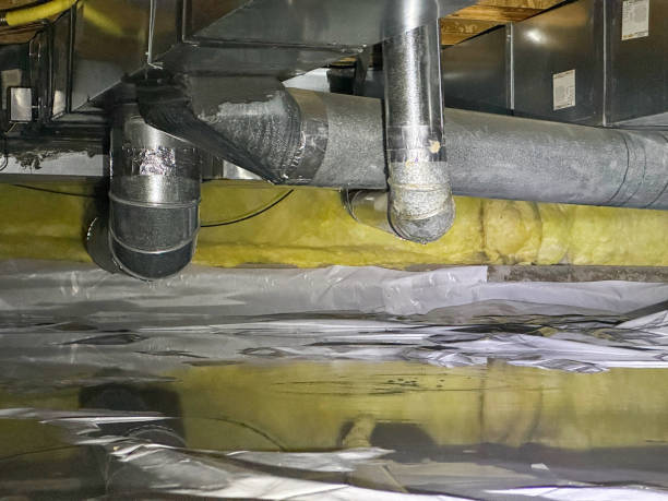 Best Ceiling water damage repair  in Mchenry, IL
