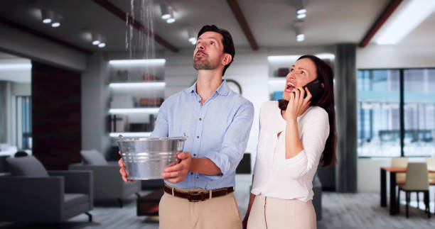 Best Water damage cleanup near me  in Mchenry, IL